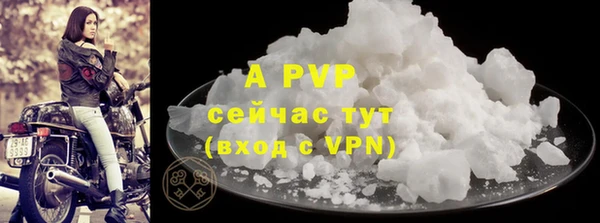 a pvp Бородино